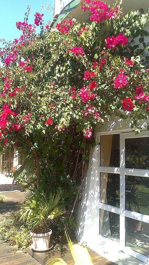 Cape Oasis Guesthouse Bloubergstrand Luaran gambar