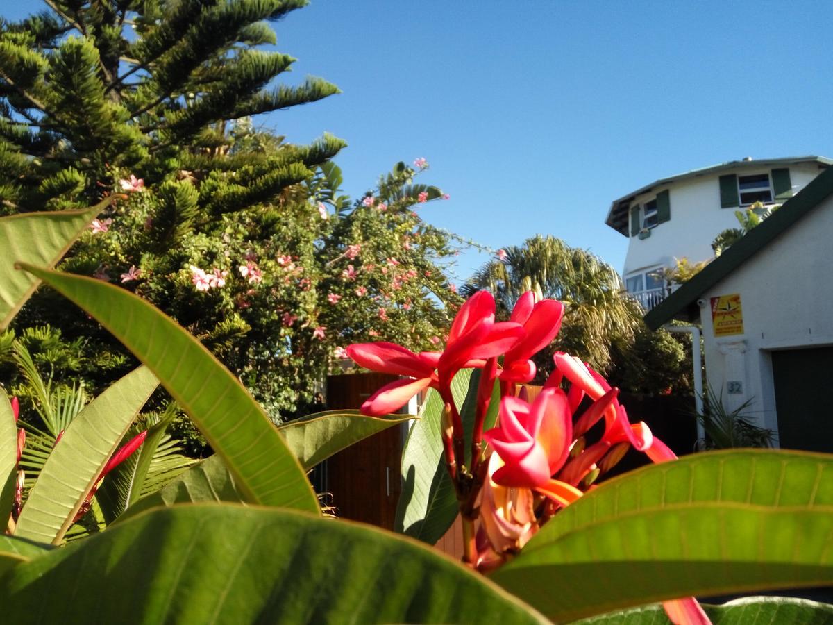 Cape Oasis Guesthouse Bloubergstrand Luaran gambar